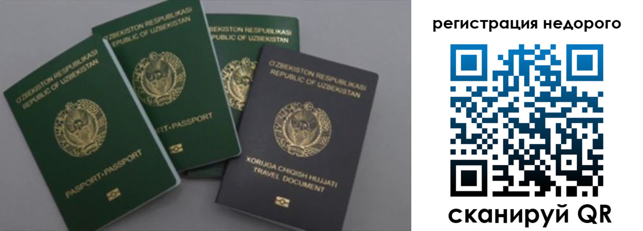 пропишу в квартире в Белой Холунице