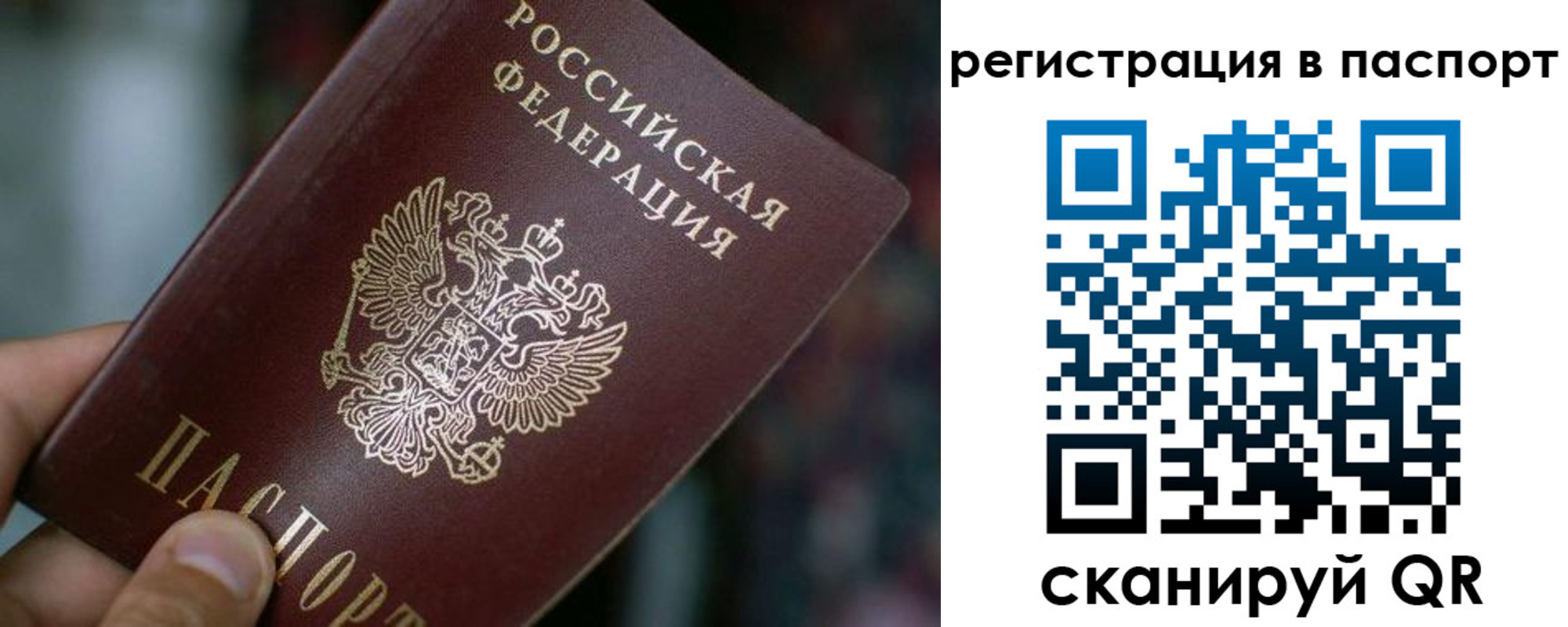 временная регистрация недорого в Белой Холунице